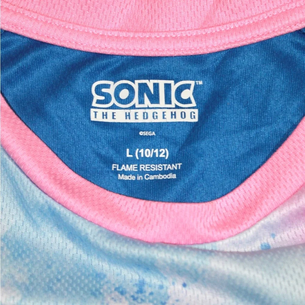 Sonic The Hedgehog sonic hedgehog